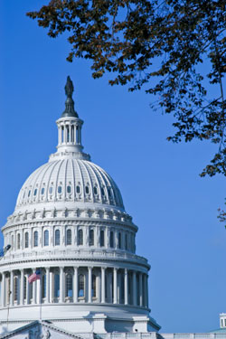 Capitol in Washington, DC