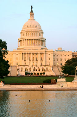 Capitol in Washington, D.C.